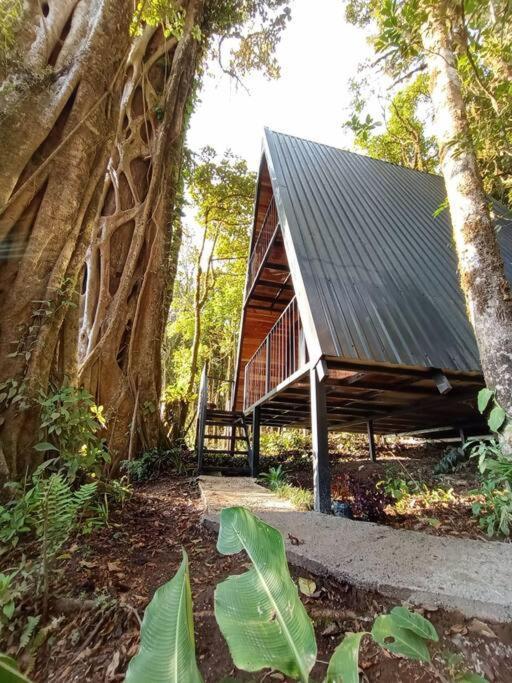 Casa Del Arbol Villa Monteverde Eksteriør bilde