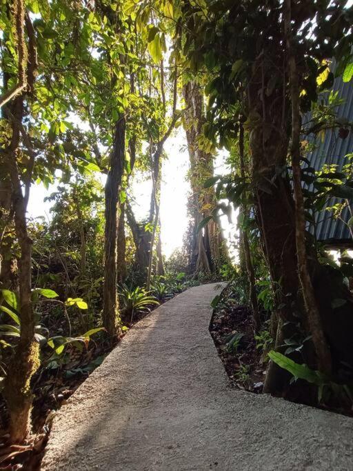 Casa Del Arbol Villa Monteverde Eksteriør bilde